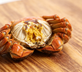 Premium Whole Crabs